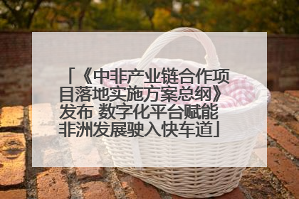 《中非产业链合作项目落地实施方案总纲》发布 数字化平台赋能非洲发展驶入快车道