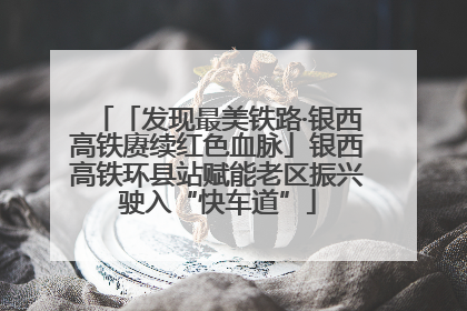 「发现最美铁路·银西高铁赓续红色血脉」银西高铁环县站赋能老区振兴驶入“快车道”
