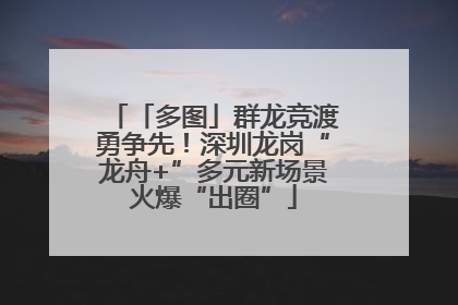 「多图」群龙竞渡勇争先！深圳龙岗“龙舟+”多元新场景火爆“出圈”