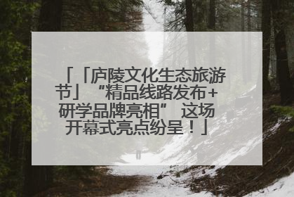 「庐陵文化生态旅游节」“精品线路发布+研学品牌亮相” 这场开幕式亮点纷呈！