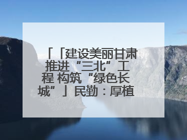 「建设美丽甘肃 推进“三北”工程 构筑“绿色长城”」民勤：厚植生态底色 筑牢绿色屏障
