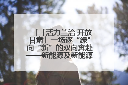 「活力兰洽 开放甘肃」一场逐“绿”向“新”的双向奔赴——新能源及新能源装备制造产业投资发展对接活动扫描