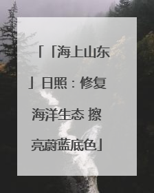 「海上山东」日照：修复海洋生态 擦亮蔚蓝底色