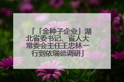 「金种子企业」湖北省委书记、省人大常委会主任王忠林一行到依瑞德调研