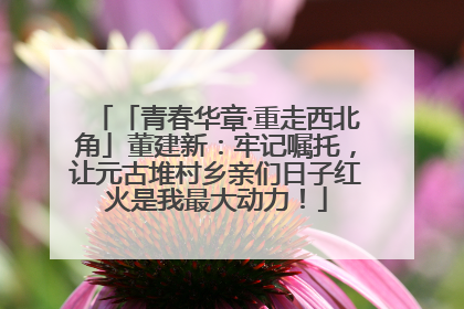 「青春华章·重走西北角」董建新：牢记嘱托，让元古堆村乡亲们日子红火是我最大动力！