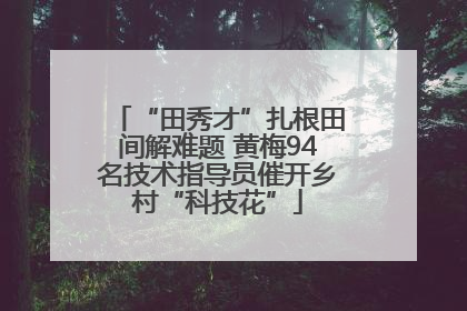 “田秀才”扎根田间解难题 黄梅94名技术指导员催开乡村“科技花”