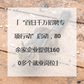 “百日千万招聘专项行动”启动，80余家企业提供1600多个就业岗位