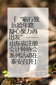 “砺行致远拾年路 凝心聚力再出发”——山东省注册会计师协会系列活动在泰安召开