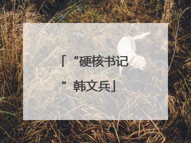 “硬核书记”韩文兵