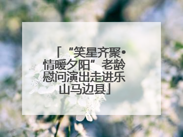 “笑星齐聚•情暖夕阳”老龄慰问演出走进乐山马边县