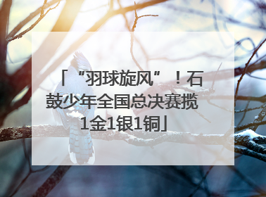 “羽球旋风”！石鼓少年全国总决赛揽1金1银1铜
