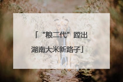 “粮二代”蹚出湖南大米新路子