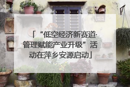 “低空经济新赛道·管理赋能产业升级”活动在萍乡安源启动