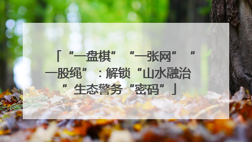 “一盘棋”“一张网”“一股绳”：解锁“山水融治”生态警务“密码”