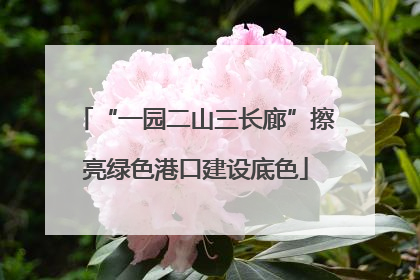 “一园二山三长廊”擦亮绿色港口建设底色