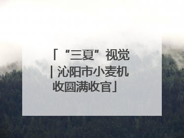 “三夏”视觉｜沁阳市小麦机收圆满收官