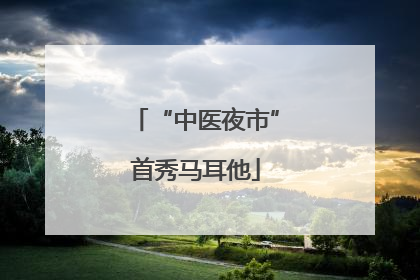 “中医夜市”首秀马耳他