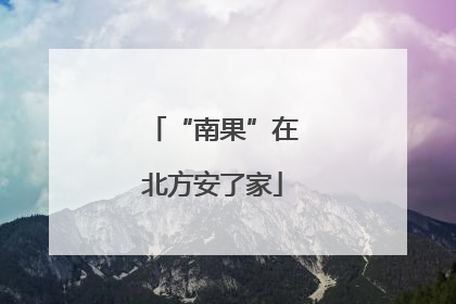 “南果”在北方安了家