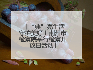 “典”亮生活 守护美好！荆州市检察院举行检察开放日活动