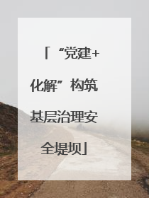 “党建+化解”构筑基层治理安全堤坝