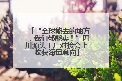 “全球能去的地方，我们都能卖！”四川源头工厂对接会上收获海量意向