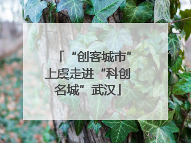 “创客城市”上虞走进“科创名城”武汉