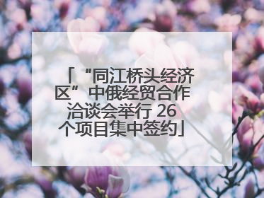 “同江桥头经济区”中俄经贸合作洽谈会举行 26个项目集中签约