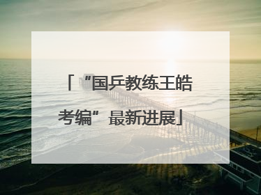 “国乒教练王皓考编”最新进展