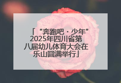 “奔跑吧・少年”2025年四川省第八届幼儿体育大会在乐山圆满举行