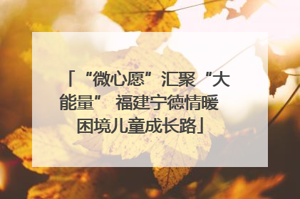 “微心愿”汇聚“大能量” 福建宁德情暖困境儿童成长路