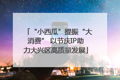 “小西瓜”提振“大消费” 以节庆IP助力大兴区高质量发展