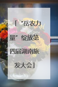 “岳农力量”绽放第四届湖南旅发大会