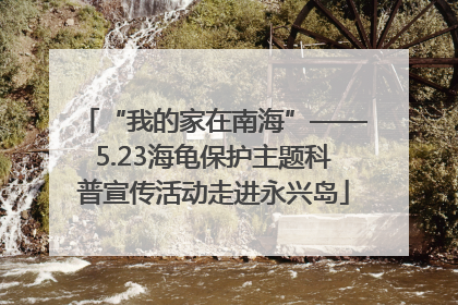 “我的家在南海”——5.23海龟保护主题科普宣传活动走进永兴岛