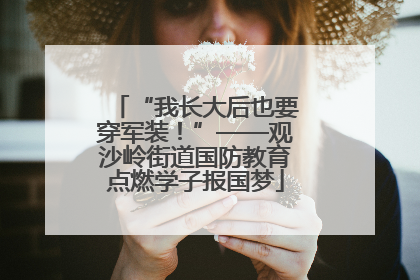 “我长大后也要穿军装！”——观沙岭街道国防教育点燃学子报国梦