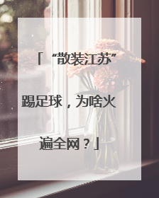 “散装江苏”踢足球，为啥火遍全网？