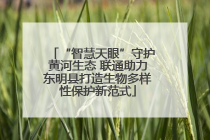 “智慧天眼”守护黄河生态 联通助力东明县打造生物多样性保护新范式