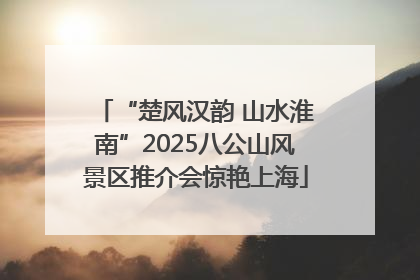 “楚风汉韵 山水淮南”2025八公山风景区推介会惊艳上海