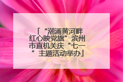 “潮涌黄河畔 红心映党旗”滨州市直机关庆“七一”主题活动举办