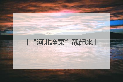 “河北净菜”靓起来