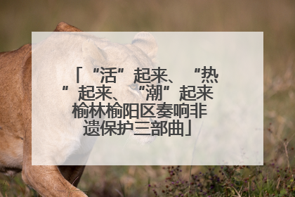 “活”起来、“热”起来、“潮”起来 榆林榆阳区奏响非遗保护三部曲
