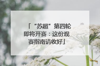“苏超”第四轮即将开赛：这份观赛指南请收好
