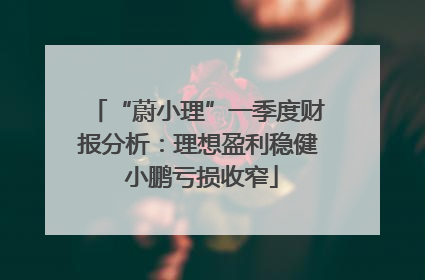 “蔚小理”一季度财报分析：理想盈利稳健 小鹏亏损收窄