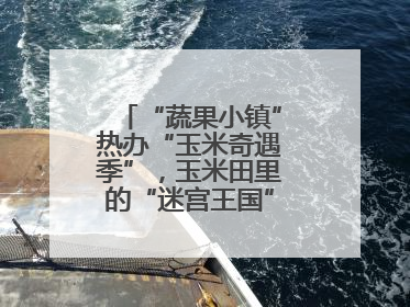 “蔬果小镇”热办“玉米奇遇季”，玉米田里的“迷宫王国”等您来探索