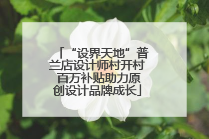 “设界天地”普兰店设计师村开村 百万补贴助力原创设计品牌成长