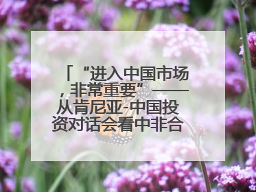 “进入中国市场，非常重要”——从肯尼亚-中国投资对话会看中非合作机遇