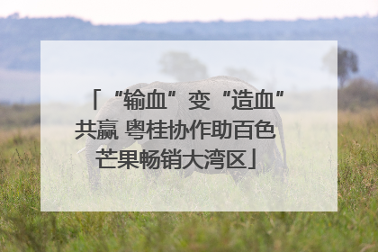 “输血”变“造血”共赢 粤桂协作助百色芒果畅销大湾区