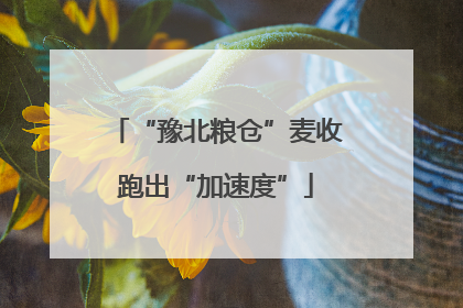 “豫北粮仓”麦收跑出“加速度”
