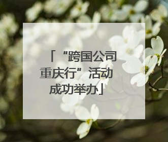 “跨国公司重庆行”活动成功举办