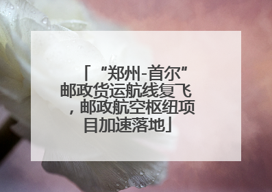 “郑州-首尔”邮政货运航线复飞，邮政航空枢纽项目加速落地