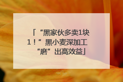 “黑家伙多卖1块1！”黑小麦深加工“磨”出高效益